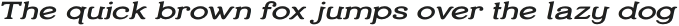TEMPORIS Medium Extended Italic otf (500)