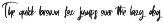 Plottage - Handwritten Font preview
