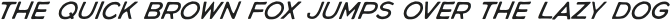 CN Agave Bold Italic otf (700)