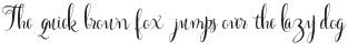 Boaedan Script otf (400)