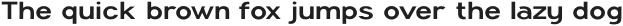 Proximus Light Extended otf (300)
