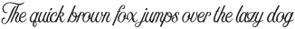 Nomah Script Light otf (300)