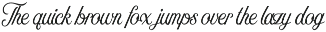 Nomah Light + Bonus preview