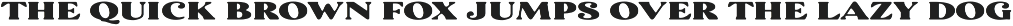 Coachella - Vintage Inspired Serif preview