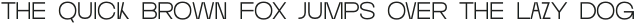 Wallnutt Corps Light otf (300)
