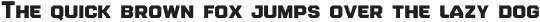 Roadhouse Bold No2 otf (700)