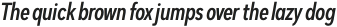 Dexa Pro Condensed Thin Italic otf (100)