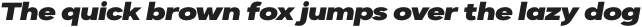 Dexa Pro Expanded Thin Italic otf (100)
