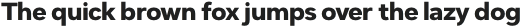 Dexa Pro Thin Italic otf (100)