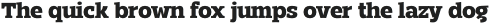Mensch Serif Extra Bold otf (700)