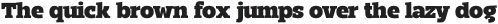 Mensch Serif Black otf (900)