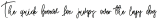 AmersfoortRegular otf (400)