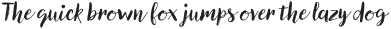Canvas Script Reg otf (400)