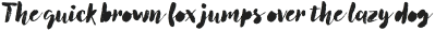 Canvas Script Heavy Fill otf (800) Sample