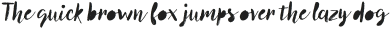 Canvas Script Reg Fill otf (400)