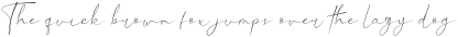 Hillonest Signature Regular otf (400)