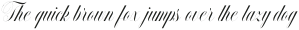 Handsome Script Light otf (300)