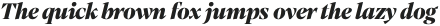 Mixta Ess Sharp It Black otf (900)