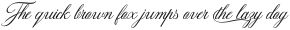 Darshye Script Regular otf (400)