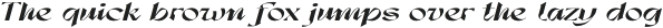 Dx Sitrus Extra Expanded Italic otf (400)