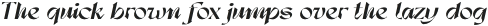Dx Sitrus Expanded Italic otf (400)