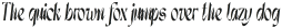 Dx Sitrus Condensed Italic otf (400)
