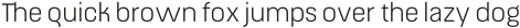ApronSoft Light otf (300)
