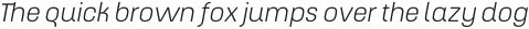 ApronSoft Light Italic otf (300)