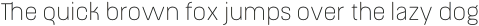 ApronSoft Thin otf (100)