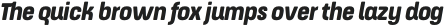 ApronSoft Narrow Heavy Italic otf (800)