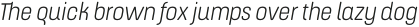 ApronSoft Narrow Light Italic otf (300)
