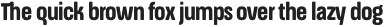 ApronSoft Condensed Bold otf (700)