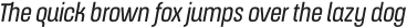 ApronSoft Condensed Book Italic otf (400)