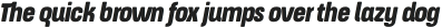 ApronSoft Condensed Heavy Italic otf (800)