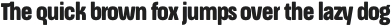ApronSoft Condensed Heavy otf (800)