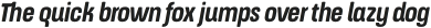 ApronSoft Condensed Bold Italic otf (700)