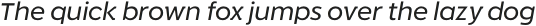 Rodia Oblique otf (400)