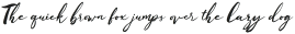 Lovya Italic otf (400)