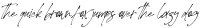 Theory of Signature Italic otf (400)