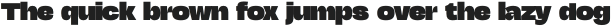 Constructio Grotesk Regular otf (400)