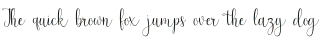 Newark script otf (400)