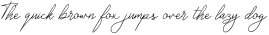 Chowgant Signature otf (400)