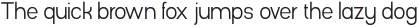 Gonero Extra Light Semi Condensed otf (200)