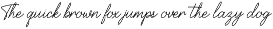 Font Bundles Sale / Monoline Script preview