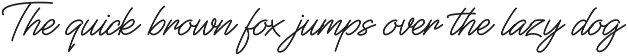 Font Bundles Sale / Monoline Script preview