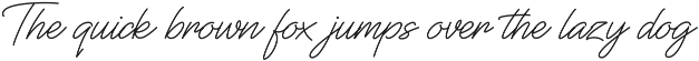 Font Bundles Sale / Monoline Script preview