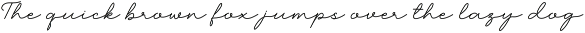Font Bundles Sale / Monoline Script preview
