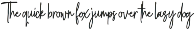 Font Bundles Sale / Monoline Script preview