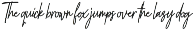 Font Bundles Sale / Monoline Script preview