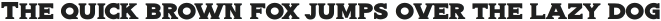 Alpha Wolf Medium otf (500)